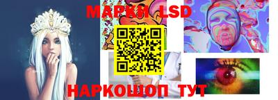 Альфа ПВП Краснознаменск