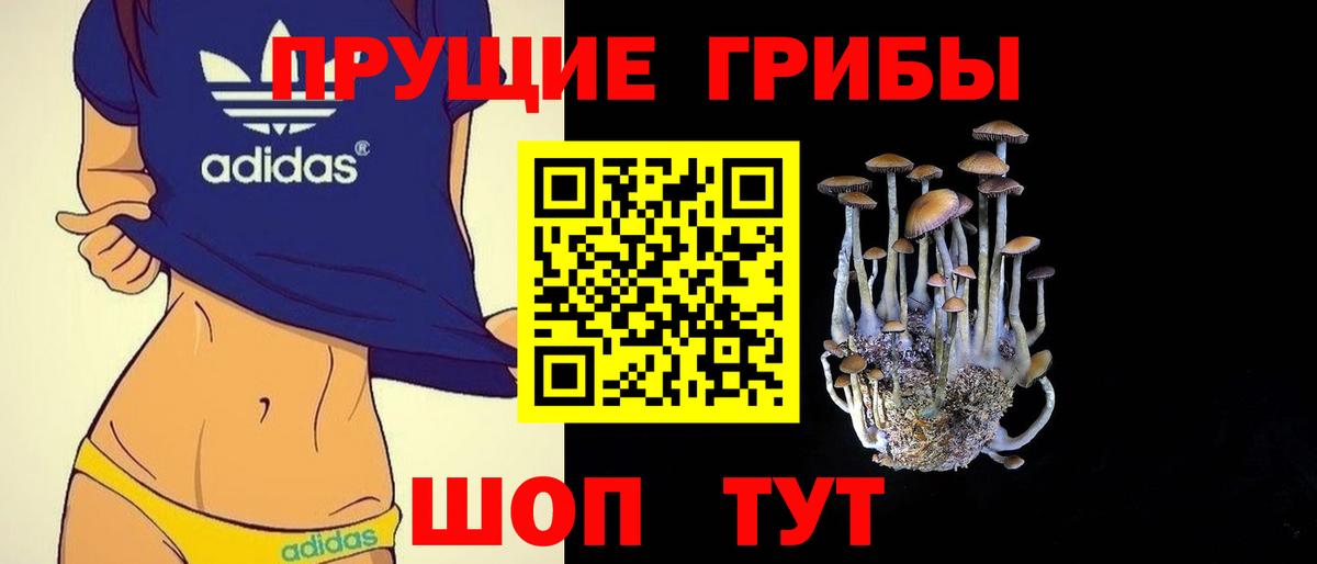 Зерноград  Галлюциногенные грибы прущие грибы  Галлюциногенные грибы GOLDEN TEACHER  Вход с VPN 